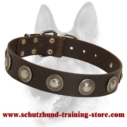Luxury Leather Dog Collar with Designer Silver Conchos