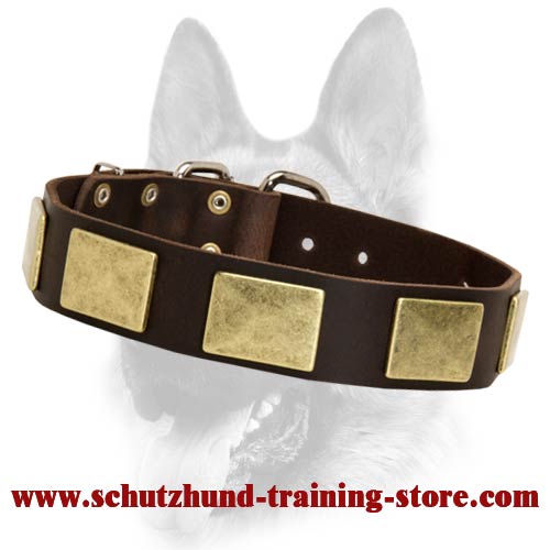 Handcrafted Leather Dog Collar With Vintage Massive Plates