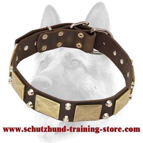 Worthy Leather Dog Collar Ornamented with Antiqued Plates and Pyramids