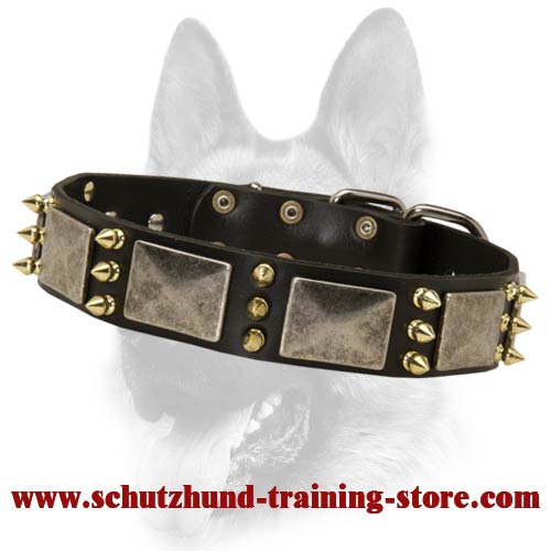 Superb Leather Dog Collar Decorated with Massive Plates and Brass-Coated Spikes