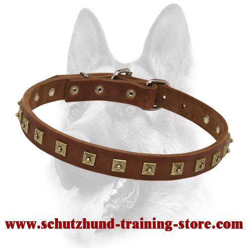 Decorated Leather Studded Dog Collar