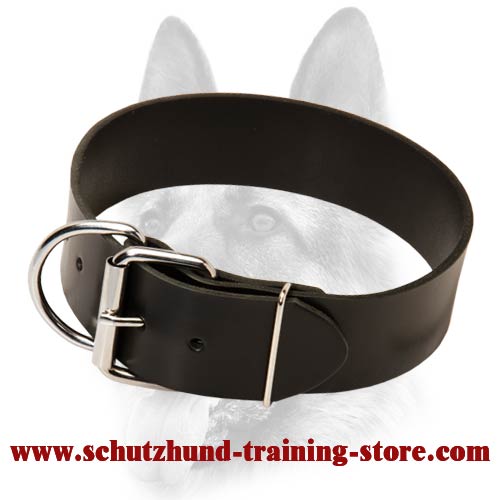 Dependable Leather Dog Collar-Classic Schutzhund Dog Breeds Collar