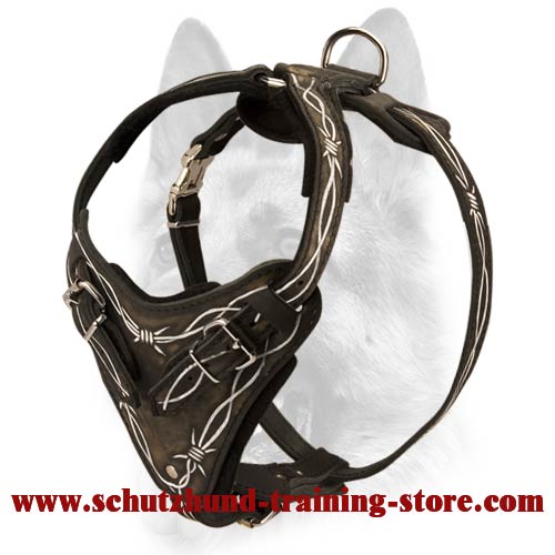 Soft Protection Training Dog Harness Barbed Wire Painted Designer Schutzhund Harness Schutzhund Training Equipment Muzzles Leashes Collars Harnesses Kennel Accessories Bite Sleeves and Covers 2024 BUY...