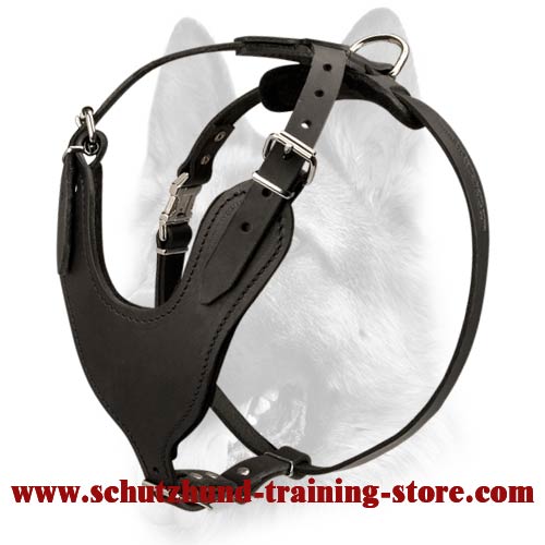 Professional Multi Purpose All-Breed Dog Leather Harness