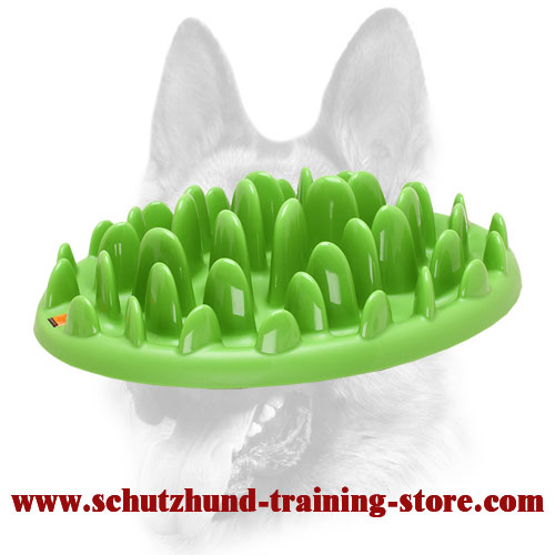 "Grassy Plate" Interactive Pet Feeder for All Dog Breeds