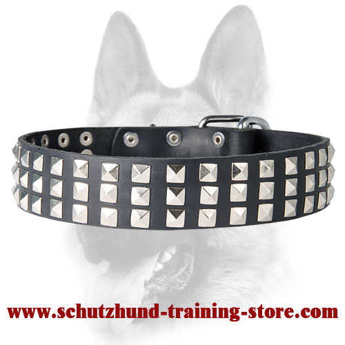 Silver-Like Pyramid Studded Leather Dog Collar for Schutzhund Training