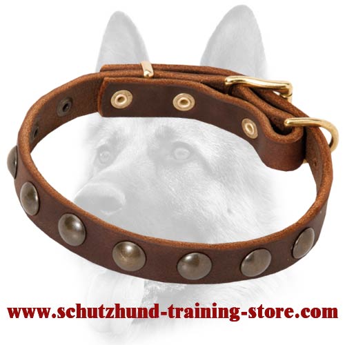 Strong Leather Dog Collar with Brass-Plated Hemispheres