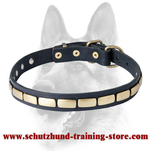 Special Leather Dog Collar with Plates for Schutzhund
