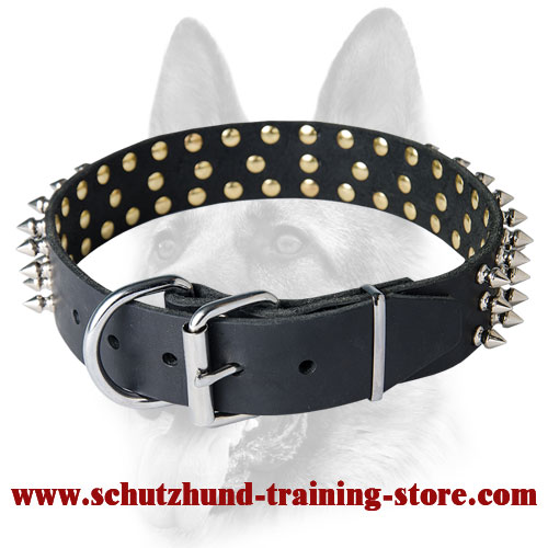 Leather Spiked Dog Collar for All Breeds