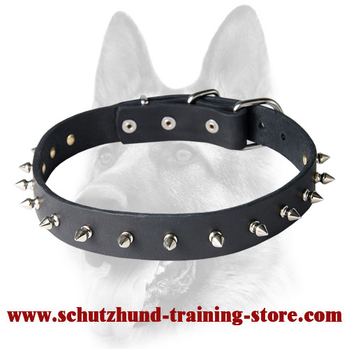 Medium Leather Dog Collar with 1 Row of Centered Spikes