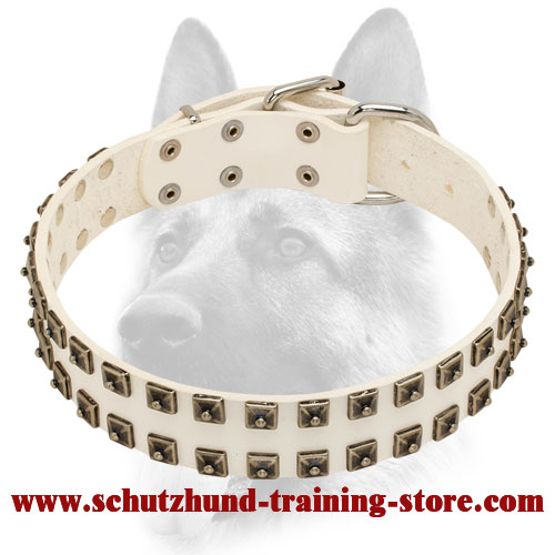 white leather collar