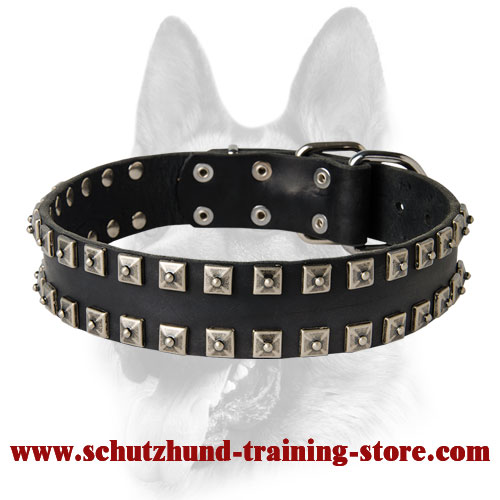 Unique Leather Dog Collar with Nickel-Plated Pyramids Set in 2 Rows