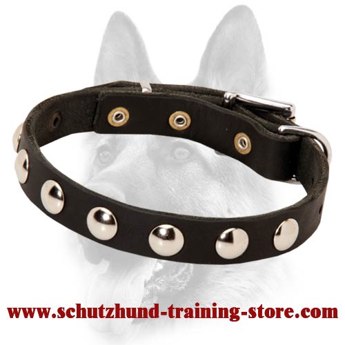 Smart Leather Dog Collar with Round Studs for Schutzhund Training
