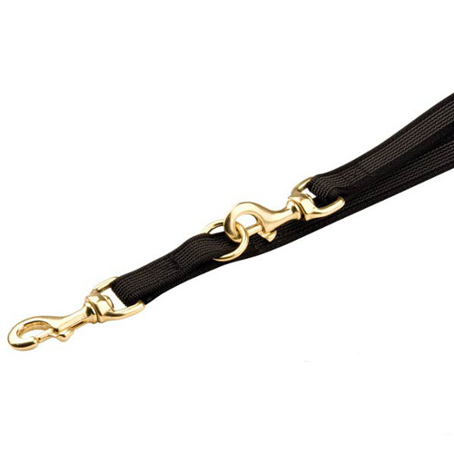 Brass snap hooks for nylon dog leash