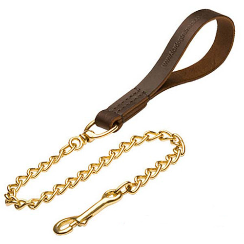 Gold-like chain dog leash