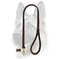 Outstanding braided leather dog leash