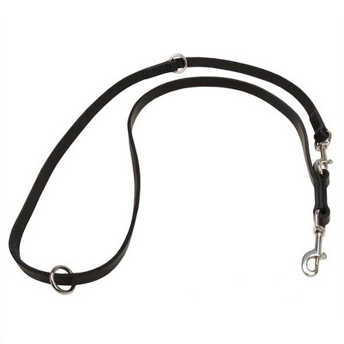 Durable training dog leash made of leather