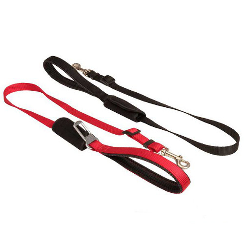 Durable nylon dog leashes