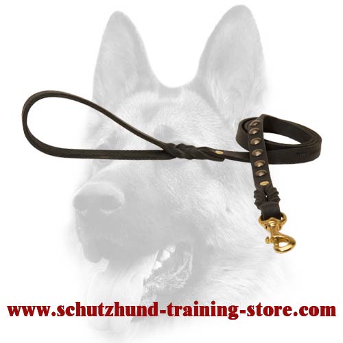 Unique leather dog lead