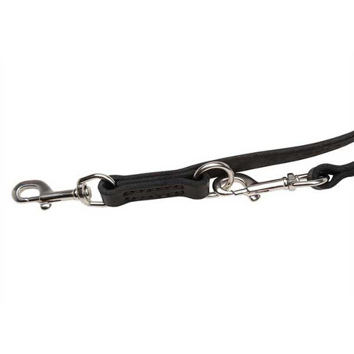 Stainless snap hooks for dog leash