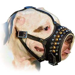 Leather muzzle of high quality