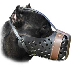 dog muzzle for barking