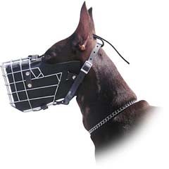 Head adjustable strap for beter fit