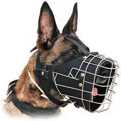 Best Agitation Muzzle