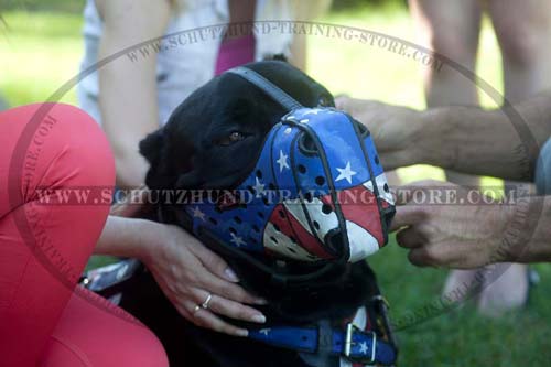 Amazing Leather Cane Corso Muzzle for Attack Work