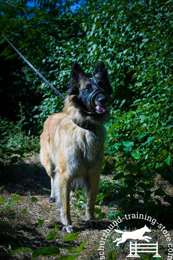 Nappa padded leather Tervuren muzzle 