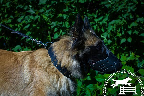 Anti-rubbing leather Tervuren muzzle