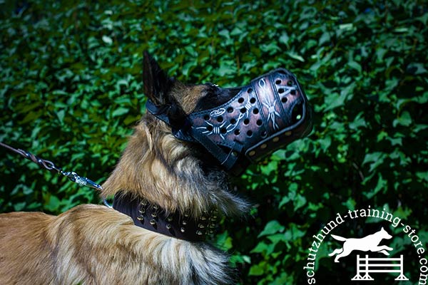 Leather Tervuren muzzle with barbed wire painting