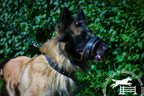 Lightweight natural leather Tervuren muzzle