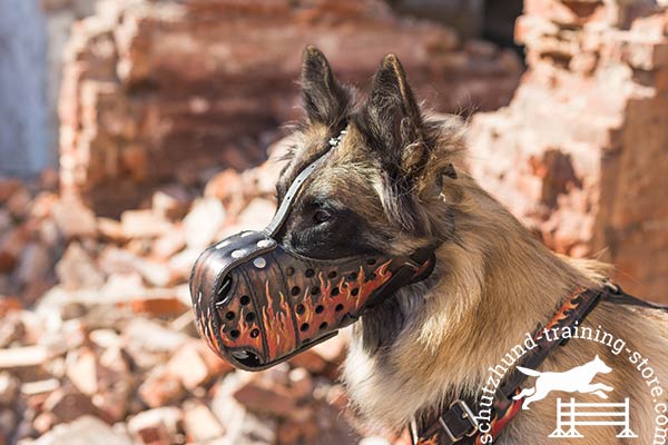 Riveted leather Tervuren muzzle