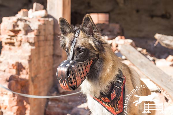 Ventilated leather Tervuren muzzle with side holes