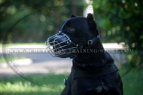 Breathable Dog Muzzle