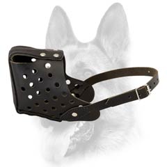Training Schutzhund dog breed leather dog muzzle