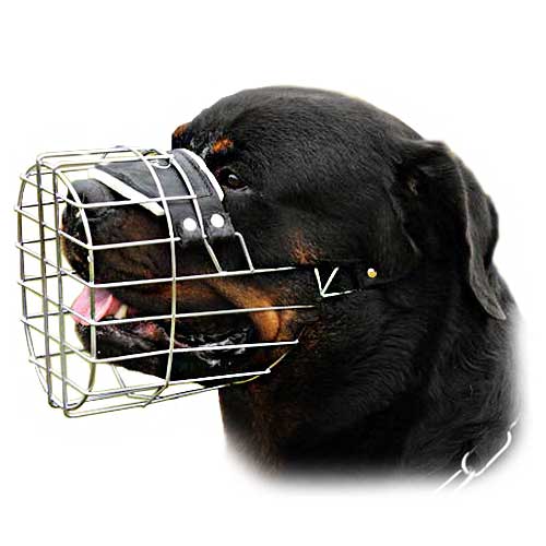 Wire Basket Dog Muzzle for Schutzhund Training [M91029 Wire Dog