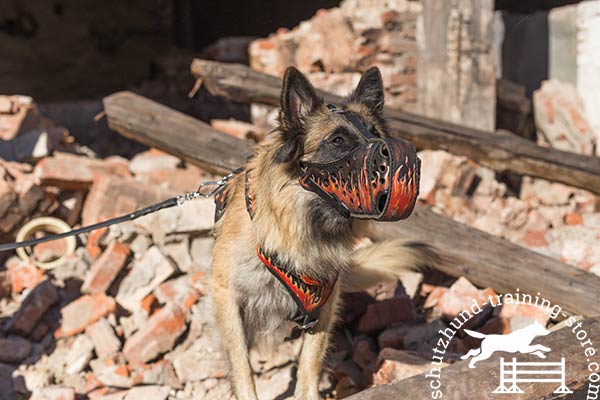 Tervuren leather muzzle with durable nickel plated hardware for quality control