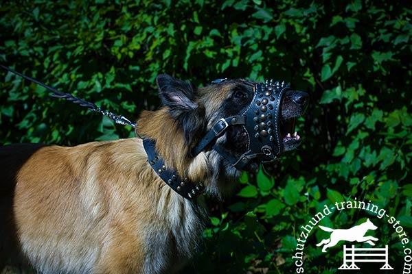 Genuine leather Tervuren muzzle 