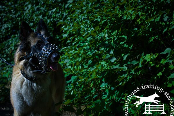 Decorated genuine leather Tervuren muzzle 