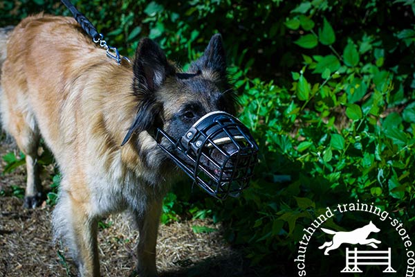Tervuren wire basket muzzle with rustless hardware for basic training