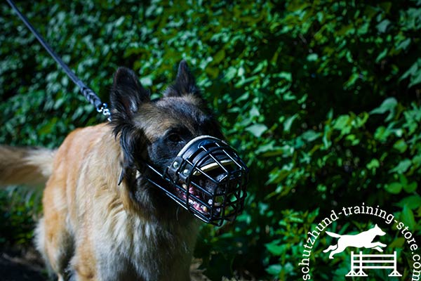 Basket design wire Tervuren muzzle