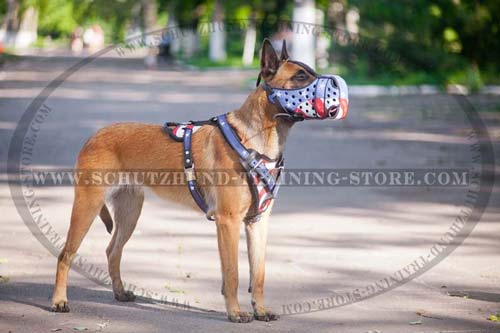 Art Leather Belgian Malinois Muzzle Made of Full Grain Leather