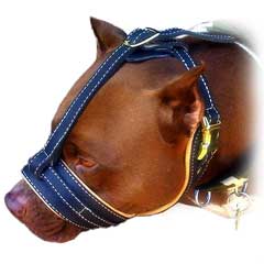 Comfortable everyday leather dog muzzle