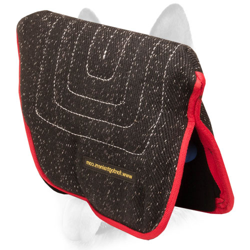 2 inside padded hard handles