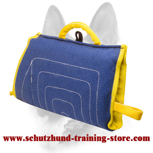 Equipped with additional handle