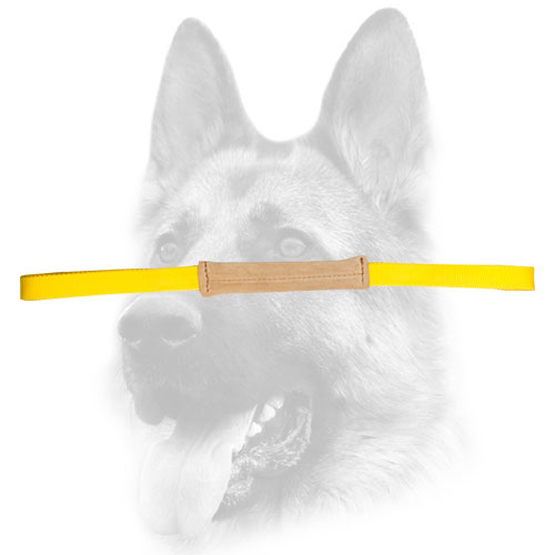 Extremely strong nylon handle