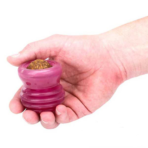 Interactive dog pink toy