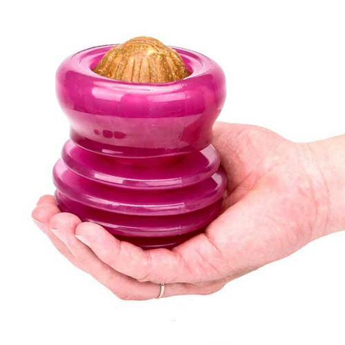 Interactive dog chewing toy